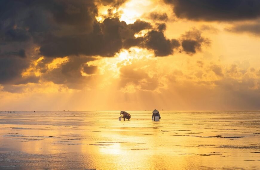 advanced business intelligence insights