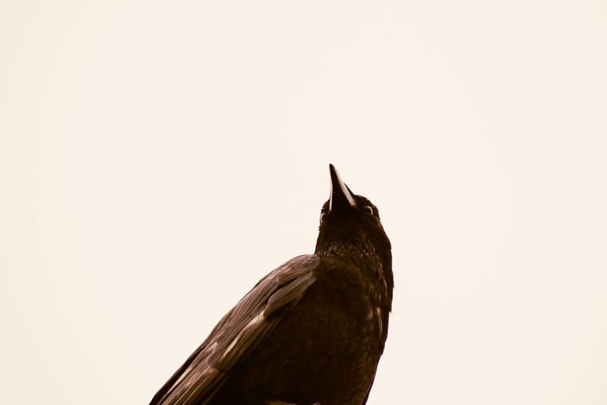 organisational intelligence assessment summary